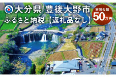 140-660 豊後大野市への寄付（返礼品はありません）1口 50万円