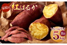 098-1188 【先行予約】【ご自宅用】【訳あり】 紅はるか 5kg B品 甘藷 べにはるか さつまいも サツマイモ 豊後大野市 事前予約 【2024年12月上旬から2025年5月上旬発送予定】