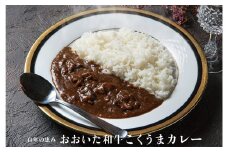 134-679 おおいた 和牛 こくうま カレー 200g×20袋 合計4kg (外箱無) 肉 レトルト セット