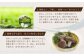 山盛り 不揃い 椎茸 500g 訳あり 乾燥椎茸 きのこ 茸