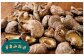 015-695x1 山盛り うまみだけ どんこ椎茸 400g 椎茸 きのこ 茸