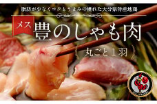 006-733x1 豊の しゃも肉 丸ごと1羽 ( メス ) ムネ モモ 手羽 ささみ 鶏皮 鶏ガラ 鶏肉