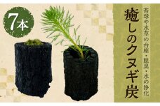 111-779 癒しのクヌギ炭 脱臭 クヌギ 炭 クヌギ