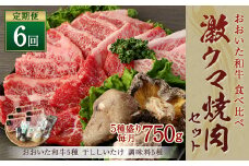 145-755 【 定期便 6回】「 激ウマ 焼肉 セット 」 牛肉 和牛 国産 大分県産