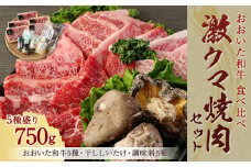 145-769 県産やるじゃないかプロジェクト 「 激ウマ 焼肉 セット 」 おおいた和牛 牛肉 和牛 希少部位 椎茸 国産 大分県産