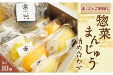 071-934 おくぶんご 新時代 惣菜 まんじゅう 詰め合わせ 計10個（5種×2個） セット
