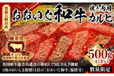022-807 【数量限定】【期間限定】 豊後大野市産 おおいた和牛 カルビ 焼き肉用 500g (一口カット)