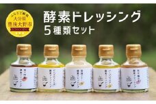 019-823 酵素 ドレッシング 5種類 セット
