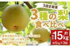 037-1054x1 【先行予約】【3回定期便】 3種の梨 食べ比べ 定期便 約5kg×3回 合計 約15kg【2025年9月上旬～2025年12月上旬発送予定】