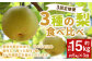 3種の梨 食べ比べ 定期便 約5kg×3回 合計 約15kg