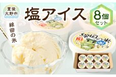 158-950 綿田の米 塩アイス 8個 セット アイス アイスクリーム デザート お米アイス