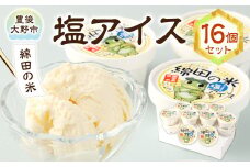 158-883 綿田の米 塩アイス 16個 セット アイス アイスクリーム デザート お米アイス