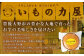 030-909 いもレーヌ（小） 8個 セット 