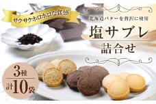 125-965 塩サブレ 詰め合わせ 焼き菓子 クッキー 豊後大野市