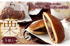 163-902 栗どら 5個入 栗 どら焼き
