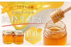 025-987x1 【TV番組で紹介されました】 日本 ミツバチ の 純粋 生蜂蜜 100g 【2025年11月下旬より順次発送予定】