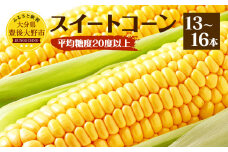 004-1052x1 【先行予約】 平均糖度20度以上 スイートコーン 約6kg前後 13本～16本 とうもろこし 【2025年6月下旬～7月下旬発送予定】