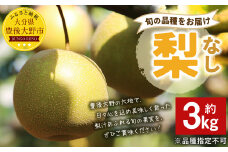 037-1055x1 【先行予約】 大分県 豊後大野市産 梨 約3kg 【2025年8月上旬～12月上旬発送予定】