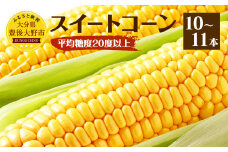 004-1058x1 【先行予約】 平均糖度20度以上 スイートコーン 約4.5kg前後 10本～11本 とうもろこし 【2025年6月下旬～7月下旬発送予定】