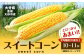 スイートコーン 約4.5kg前後 ( 10本～11本 ) とうもろこし