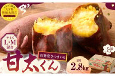 171-1133x1 【先行予約】 高糖度さつまいも 甘太くん 約2.8kg（Lサイズ5本・Mサイズ8本） サツマイモ 甘藷 かんしょ おやつ 焼き芋 【2025年11月下旬から2026年4月下旬発送予定】