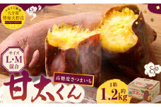 171-1134x1 【先行予約】 高糖度さつまいも 甘太くん 約1.2kg（Lサイズ2本・Mサイズ3本） サツマイモ 甘藷 かんしょ おやつ 焼き芋 【2025年11月下旬から2026年4月下旬発送予定】