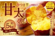134-1145 甘太くん 5kg（Ｍ～2Lサイズ） さつまいも 芋 紅はるか 【2024年12月下旬から2025年4月上旬発送予定】 