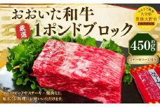 173-1150 おおいた和牛 1ポンドブロック（約450g） ステーキソース付き 牛肉 肉 お肉