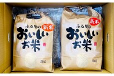 004-1180 【令和6年産】 大分県豊後大野市産 米 「なつほのか」 10kg（5kg×2袋） 精米 お米 ご飯 白米 【2024年10月下旬から順次発送予定】