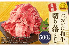 173-1176 おおいた和牛 切り落とし（500g）厳選 国産 和牛 肉 牛肉 冷凍 肉じゃが 牛丼 焼肉 カレー シチュー 炒め物