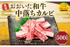 173-1178 おおいた和牛 中落ちカルビ（500g）和牛 カルビ 牛肉 冷凍 肉 焼肉 鉄板焼 BBQ バーベキュー お取り寄せ グルメ 