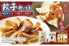 051-1169 焼き餃子と一口餃子（水餃子）「Aセット」合計54個 タレ付き 焼き餃子 一口餃子 水餃子 餃子 ぎょうざ ギョウザ  冷凍 おかず おつまみ 中華