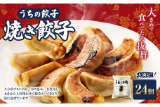 051-1167 うちの餃子 焼き餃子 2袋セット 合計24個 餃子のタレ付き 餃子 ぎょうざ ギョウザ  冷凍 おかず おつまみ 国産 豚肉 中華