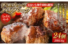 175-1213 【おおいた和牛 100%使用】デミ＆プレーン ハンバーグ ミックス セット 24個 計約2.4kg 牛肉 肉 和牛 おかず 惣菜 冷凍 簡単調理 デミグラス
