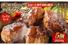 175-1211 【おおいた和牛 100%使用】デミ＆プレーン ハンバーグ ミックス セット 5個 計約590g 牛肉 肉 和牛 おかず 惣菜 冷凍 簡単調理 デミグラス