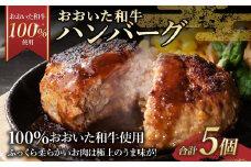 175-1190 【おおいた和牛 100%使用】おおいた和牛 ハンバーグ 5個 計約350g 牛肉 肉 おかず 惣菜 冷凍 簡単調理
