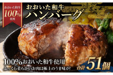 175-1194 【おおいた和牛 100%使用】おおいた和牛 ハンバーグ 51個 計約3.57kg 牛肉 肉 おかず 惣菜 冷凍 簡単調理