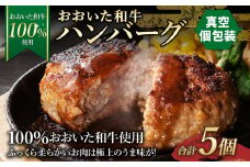 175-1195 【おおいた和牛 100%使用】おおいた和牛 ハンバーグ 5個 計約350g （真空個包装）牛肉 肉 おかず 惣菜 冷凍 簡単調理