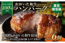 175-1196  【おおいた和牛 100%使用】おおいた和牛 ハンバーグ 6個 計約420g （真空個包装）牛肉 肉 おかず 惣菜 冷凍 簡単調理