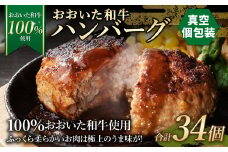 175-1199 【おおいた和牛 100%使用】おおいた和牛 ハンバーグ 34個 計約2.38kg （真空個包装）牛肉 肉 おかず 惣菜 冷凍 簡単調理