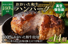 175-1197 【おおいた和牛 100%使用】おおいた和牛 ハンバーグ 14個 計約1kg （真空個包装）牛肉 肉 おかず 惣菜 冷凍 簡単調理