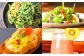【12ヶ月定期便】ビジネスリーダーのための VEGEMAR I パウダー 野菜定期便 50g×4種類 各3個