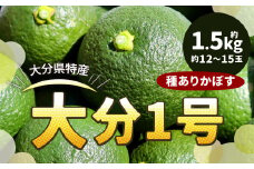 178-1249 大分 1号（種あり） 約1.5kg （約12～15玉） カボス 青果 かぼす 柑橘 果汁 果物 大分県産 国産 九州産