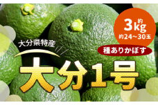 178-1250 大分 1号（種あり） 約3kg （約24～30玉） カボス 青果 かぼす 柑橘 果汁 果物 大分県産 国産 九州産