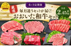 173-1285 【6ヶ月定期便】 毎月違うセットが届く！おおいた和牛 セット 合計約2.45kg 1回あたり約400g～約450g 牛肉 食べ比べ ソース付き サーロイン 赤身 ミスジ ブロック ロース ステーキ ヒレ 焼肉 スライス BBQ バーベキュー お取り寄せ グルメ 大分県産