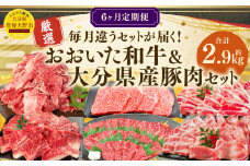 173-1286 【6ヶ月定期便】 毎月違うセットが届く！おおいた和牛&大分県産豚肉セット 合計約2.9kg 1回あたり約400g～約600g 牛肉 豚肉 おおいた和牛 食べ比べ セット ソース付き ロース 肩ロース 切落し バラ 豚バラ 赤身 ステーキ 焼肉 スライス BBQ バーベキュー お取り寄せ グルメ 大分県産