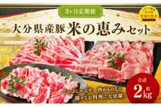 173-1291 【3ヶ月定期便】大分県産豚 米の恵み セット 合計約2kg 1回あたり約600g～約800g 豚肉 食べ比べ ロース 切落し スライス 豚バラ バラ バラ肉 焼肉 BBQ バーベキュー お取り寄せ グルメ 大分県産