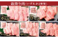 【焼肉用4-6人向け】 あさじ牛 約300g×4パック 計約1.2kg 部位おまかせ 4種の焼肉食べ比べセット