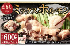 177-1295 知る人ぞ知る 黒毛和牛 あさじ牛 ミックスホルモン 約300g×2袋 計約600g 真空小分け 冷凍で使いやすい ホルモン 大腸 小腸 センマイ ハツ 赤センマイ
