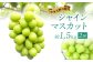  シャインマスカット 約1.5kg(2房) ぶどう 葡萄 くだもの 果物 フルーツ デザート